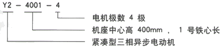 YR系列(H355-1000)高压YJTG-132S-2A/5.5KW三相异步电机西安西玛电机型号说明